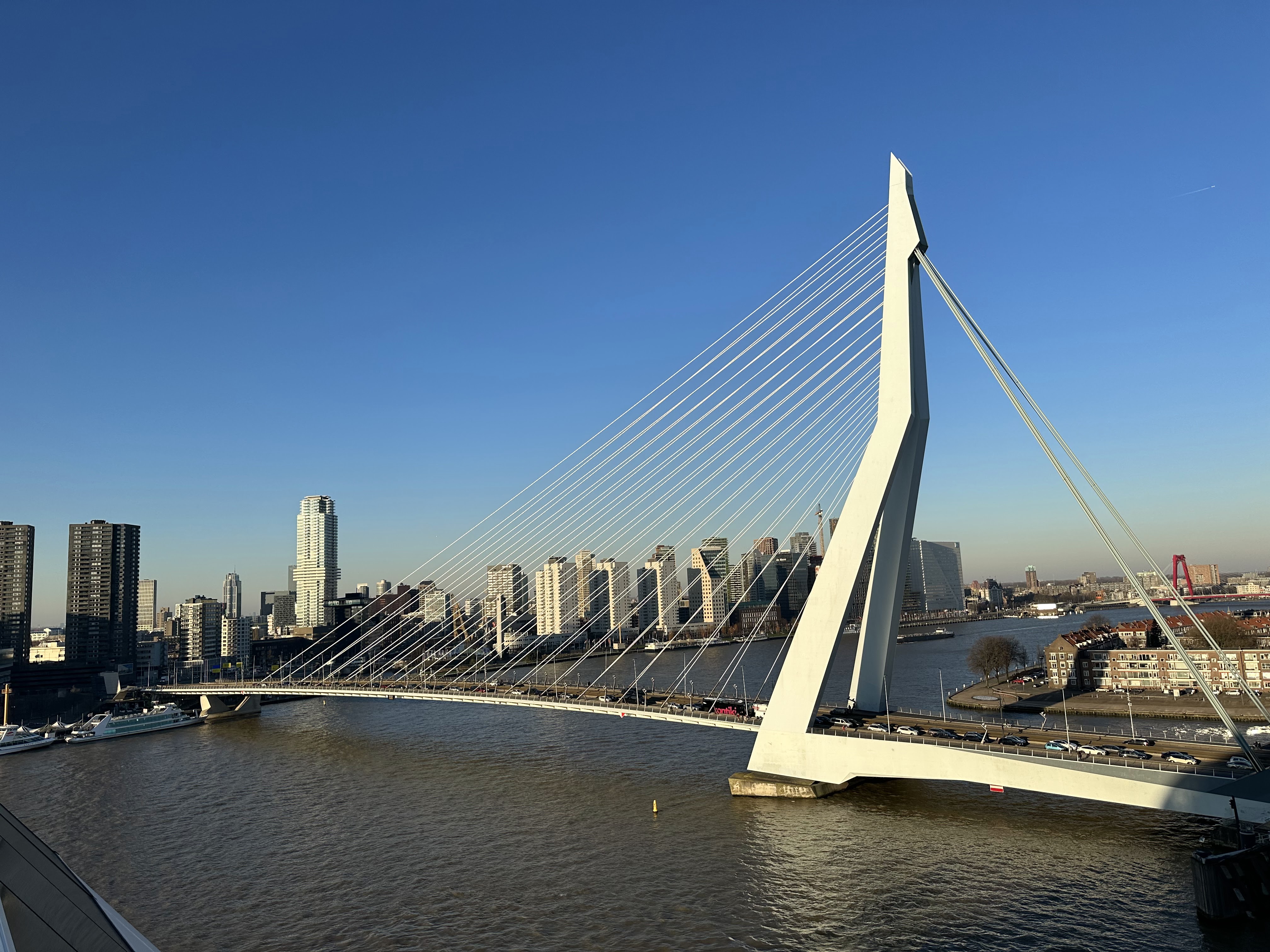 Erasmusbrug