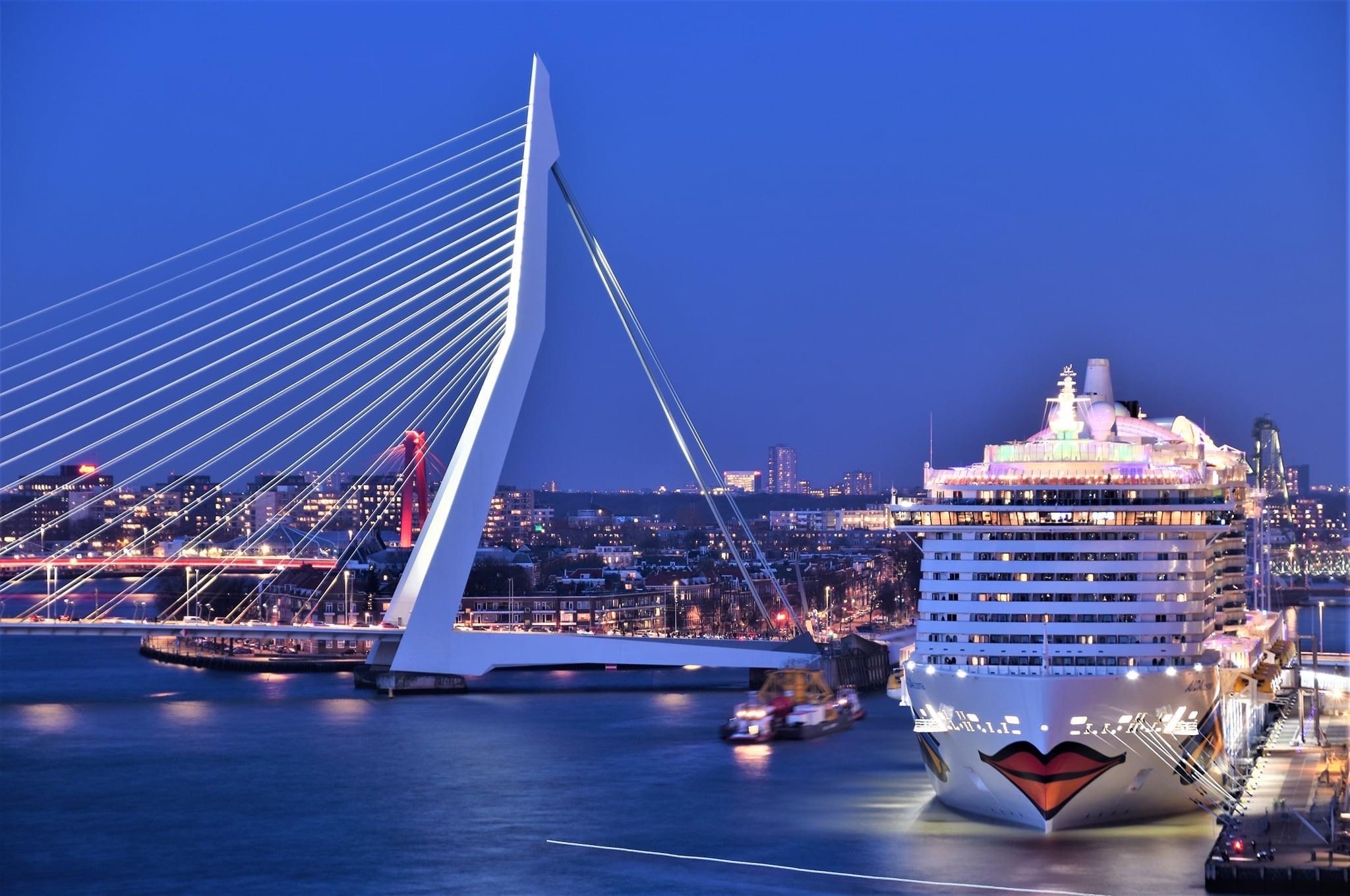 Erasmusbrug 照片 3