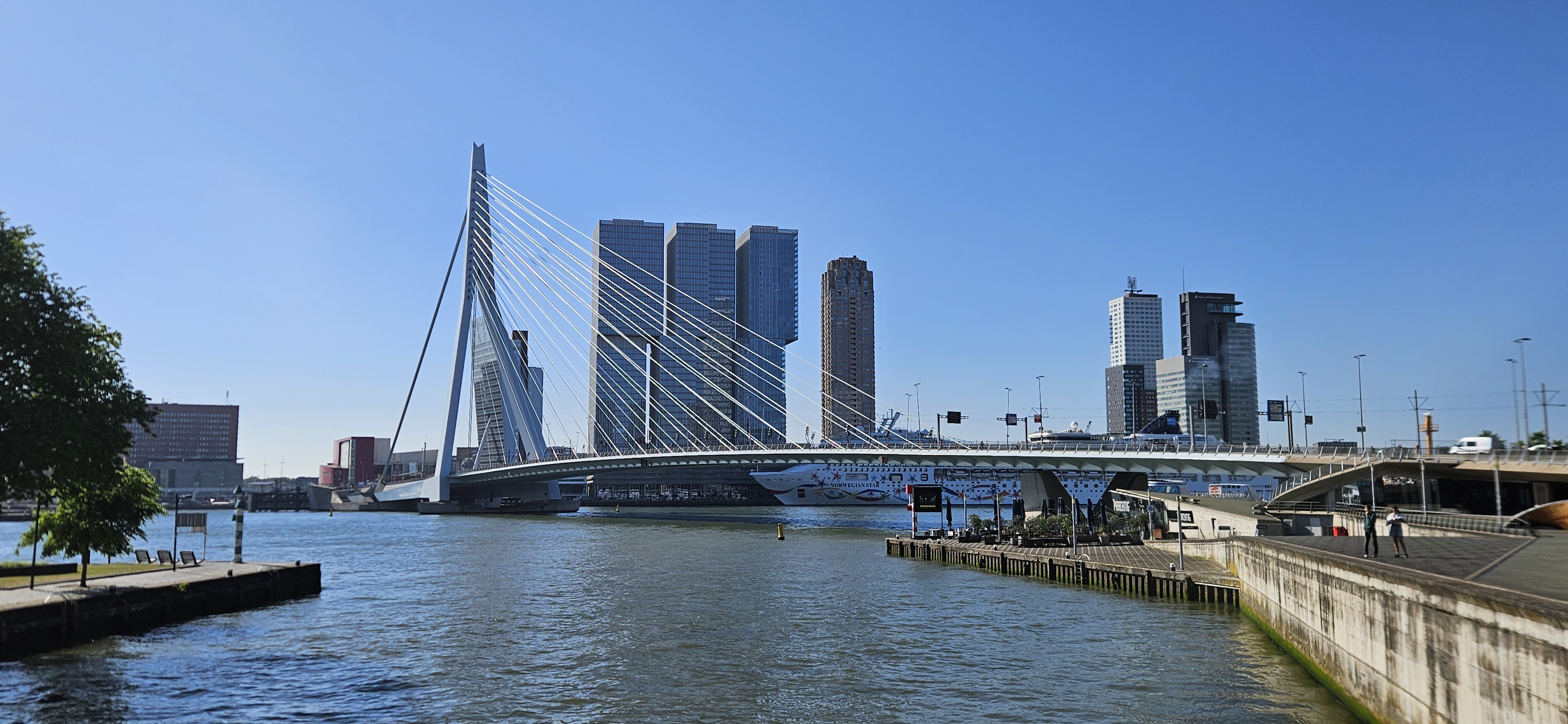 Erasmusbrug 照片 4