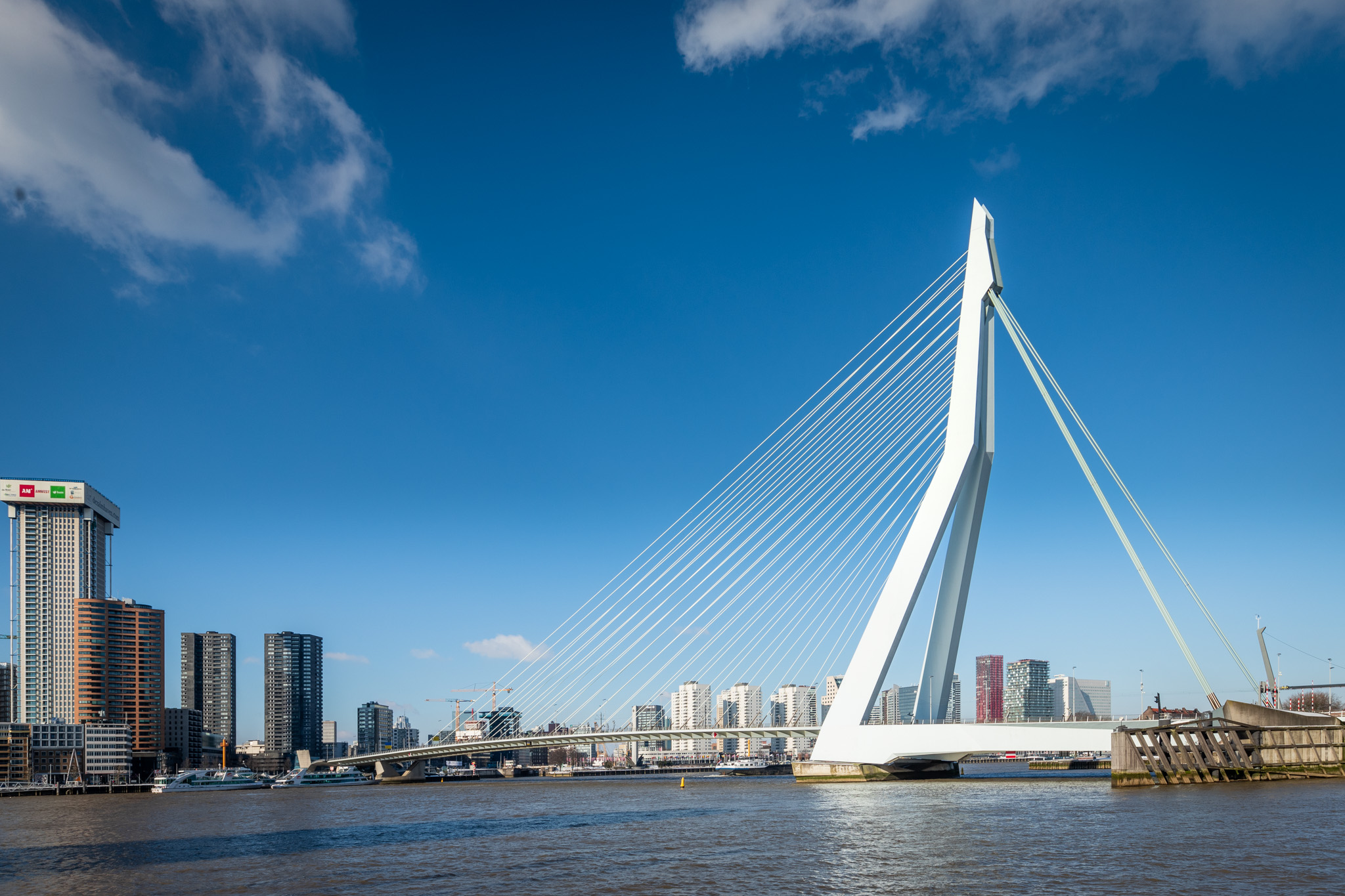 Erasmusbrug 照片 5