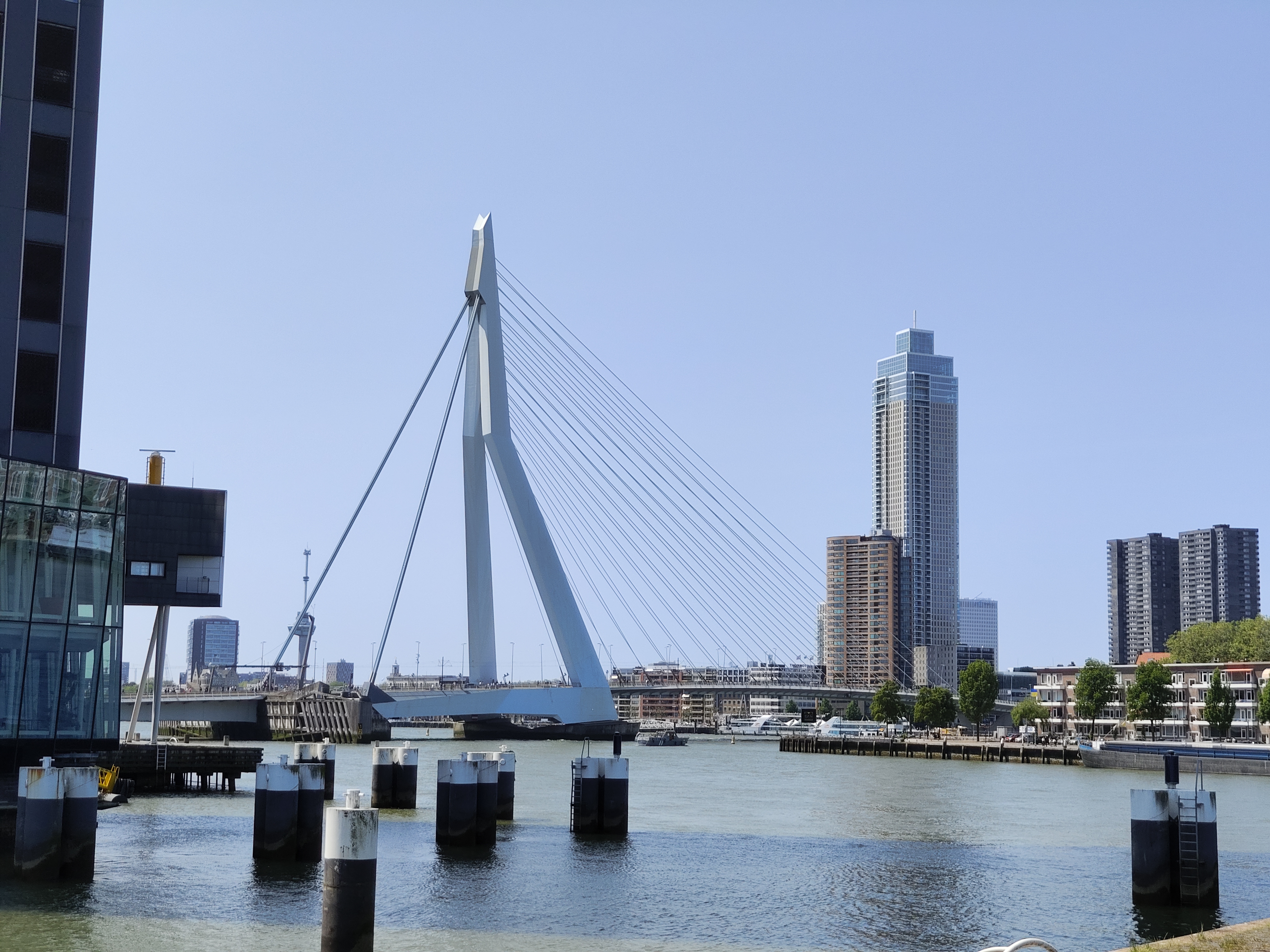 Erasmusbrug 照片 7